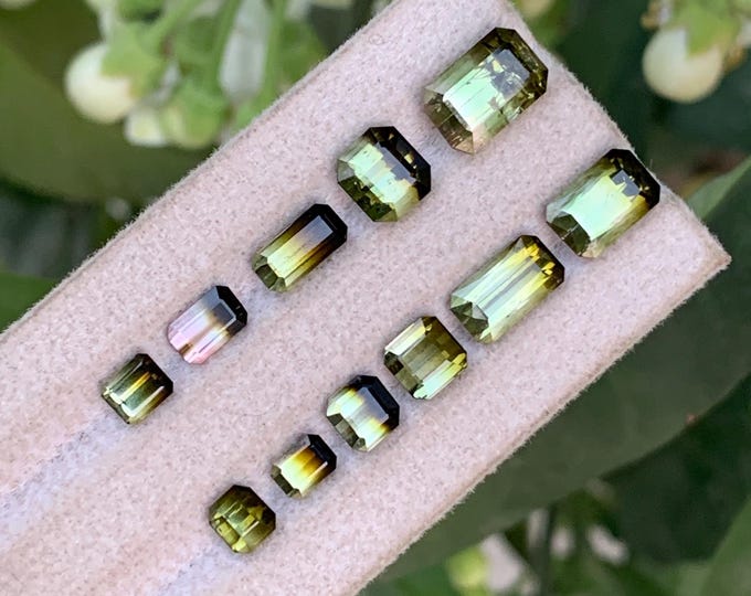 Bi-Color Tourmaline Gemstone Lot | Afghan Origin, Collector Quality