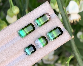 Bi-Colour Tourmaline Parcel – 14.95ct | Green with Lagoon Hues | Origin: Afghanistan