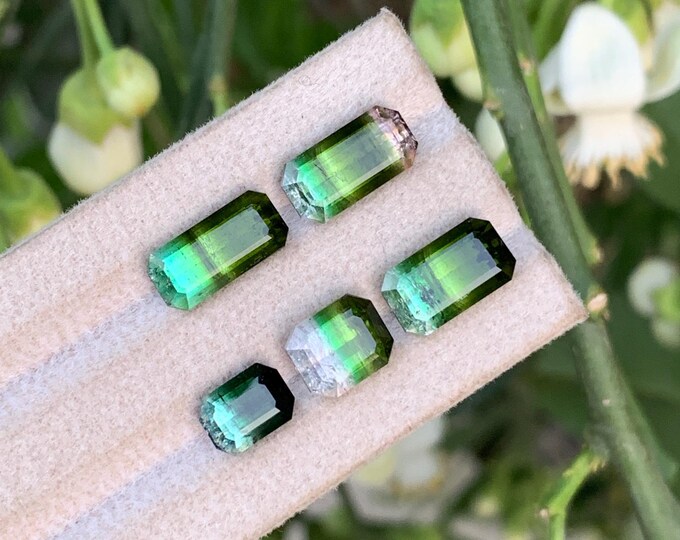 Bi-Colour Tourmaline Parcel – 14.95ct | Green with Lagoon Hues | Origin: Afghanistan