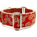 see more listings in the 1.5 Inch Collars section