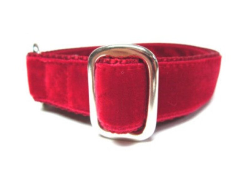 houndstown collars