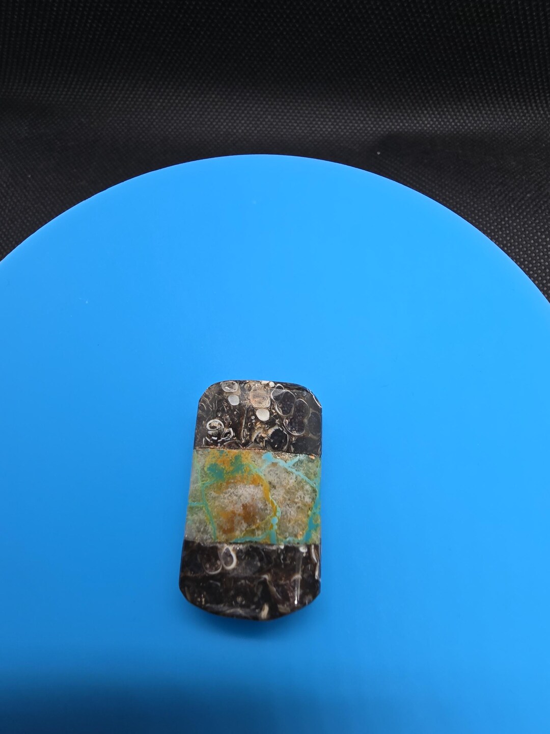 Turtle Shell Inlay Kingman Turquoise Inlay With Fossil Turtle Shell Cabochon - Etsy