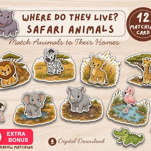 Op de afbeelding: Een set van 12 bijpassende kaarten getiteld Where Do They Live? Safari Animals, met cartoonillustraties van een nijlpaard, leeuw, zebra, luipaard, giraf, struisvogel, olifant, neushoorn, flamingo, stokstaartje en krokodil in hun natuurlijke omgeving.