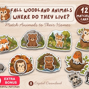 Könnte beinhalten: Ein digitaler Download-Satz mit 12 passenden Karten mit der Aufschrift FALL WOODLAND ANIMALS WHERE DO THEY LIVE? Match Animals to Their Homes. Das Set enthält Illustrationen von Eichhörnchen, Fuchs, Bär, Reh, Eule, Dachs, Igel, Biber, Vogel, Waschbär und Stinktier.