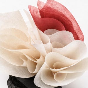 Può includere: Composizione astratta di carta traslucida a strati nei toni crema, bianco e rosso. La carta è disposta in un motivo a spirale, simile a un fiore, con una base scura e strutturata. L'immagine ha una qualità artistica morbida.
