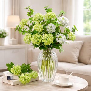 Peut inclure: Un vase en verre transparent rempli d'hortensias verts et blancs. Le vase est posé sur une table en bois avec une tasse et une soucoupe blanches. Des fleurs et des livres supplémentaires sont également sur la table. Une lampe et un canapé sont en arrière-plan.