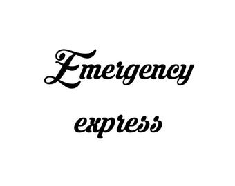 Emergency express delivery
