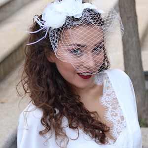 Birdcage Veil Headpiece blushers,wedding veil Cage with flower