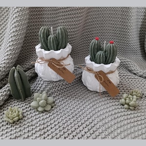 Kaktus liebhaber geschenke - Etsy.de