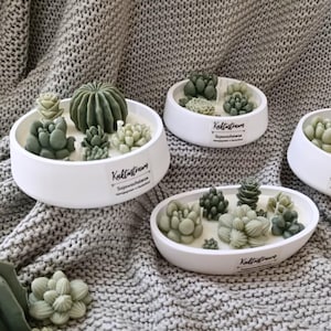 Kaktustraum Sukkulenten Kerze | Mehrdocht Sojawachskerze Handgegossen | Vegan Ohne Duft | Botanische Deko | Oval & Rund | Made in Germany