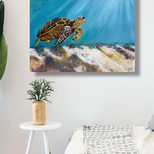 Marine Turtle