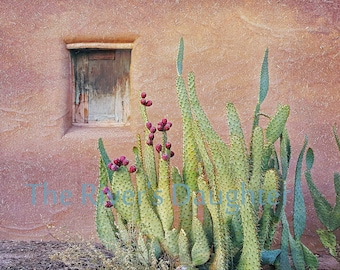 Prickly Pear Cactus Print: Adobe Wall, New Mexico Art (5x7 Matted Photograph)