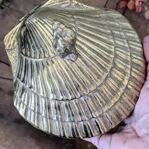 May include: A gold-colored brass shell-shaped trinket box with a detailed, textured design. The box is closed and has a hinged lid.