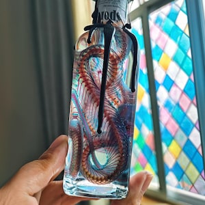 May include: A clear glass bottle containing a preserved snake skeleton, with red and blue hues. The bottle's top is sealed with black wax, and the word "Nods" is visible on the label. The background features a stained-glass window.