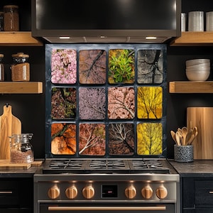 Seasonal Trees Canopy Glass Backsplash, Tempered Glass Kitchen Backsplash, Stove Wall Protector, Glass Splashback, Backsplash for Kitchen