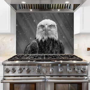 Monochrome Eagle Glass Backsplash, Tempered Glass Kitchen Backsplash, Stove Wall Protector, Glass Splashback, Backsplash for Kitchen Tile