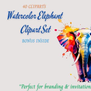 Clipart aquarel olifant – 40 zachte jungle-png's voor scrapbooking, kinderkamerafdrukken en sublimatie + 10 bonusillustraties