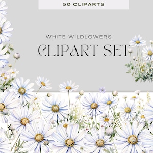 Clipart fleurs sauvages blanches – 50 fleurs PNG à l'aquarelle pour faire-part de mariage, sublimation, scrapbooking et autocollants