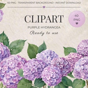 May include: Watercolor clipart featuring purple hydrangea flowers with green leaves. The image includes the text "CLIPART PURPLE HYDRANGEA Ready to use" and "40 PNG". The background is a light beige color.