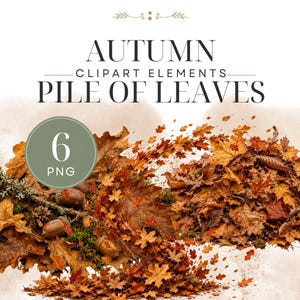 May include: A digital graphic set titled AUTUMN CLIPART ELEMENTS PILE OF LEAVES featuring 6 PNG files. The image displays a large, dense collection of fallen autumn leaves in shades of orange, brown, and red, interspersed with acorns and moss.