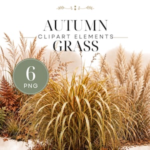 Peut inclure: Une collection d'éléments clipart d'herbes d'automne comprenant six fichiers PNG. L'image montre diverses herbes séchées, de l'herbe de la pampa et des fougères dans des tons marron, doré et vert. Le texte AUTUMN CLIPART ELEMENTS GRASS et 6 PNG est visible.