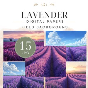 Puede incluir: Una colección de 15 papeles digitales con fondos de campos de lavanda. Las imágenes muestran hileras de flores de lavanda moradas bajo diversas condiciones de cielo, incluyendo atardeceres y cielos azules con nubes blancas. El texto dice LAVENDER DIGITAL PAPERS FIELD BACKGROUNS y 15 JPG.