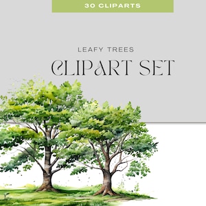 Leafy Trees Clipart – 30 PNG Tree Illustrations for Nature Crafts, Scrapbooking & Forest Projects