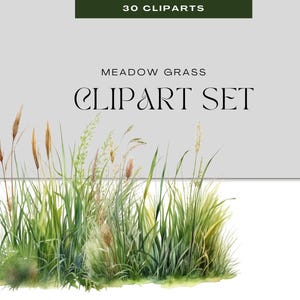 Meadow Grass Clipart – 30 PNG Wild Grass and Floral Elements for Nature Crafts & Design