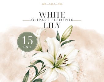 Cliparts mit weißen Lilien, botanische Blumen für Tagebuch, Planer, Sublimation, Scrapbook, digitaler Download