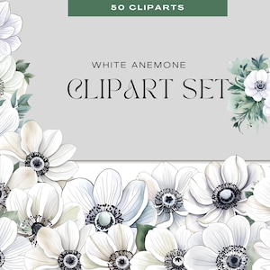 White Anemone Watercolor Clipart – PNGs for Weddings, Branding, Journals & Sublimation