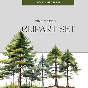 Pine Trees Clipart – 30 Evergreen PNGs for Forest Crafts, Nature Collage & Scrapbooking