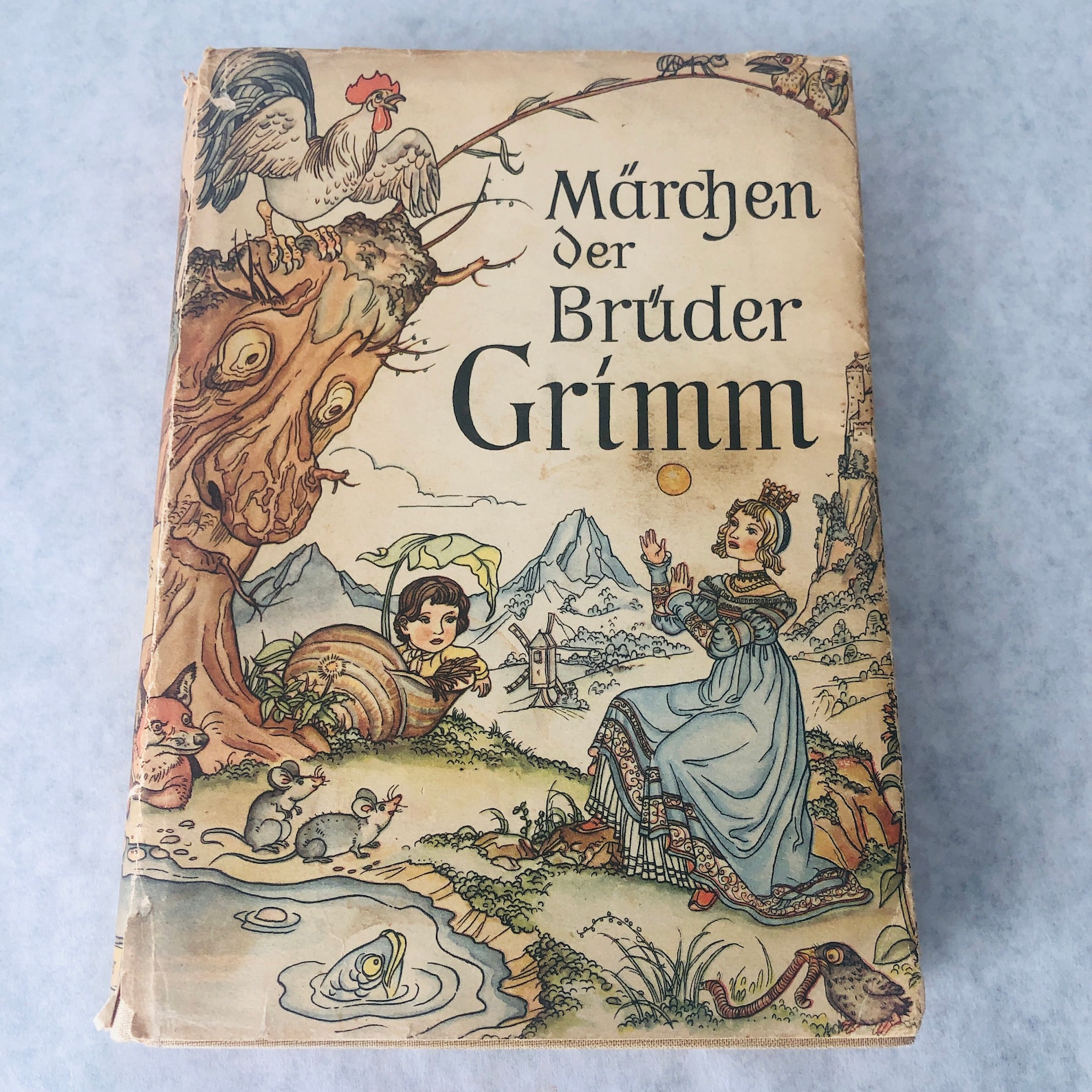 Brothers Grimm Fairy Tales Book German