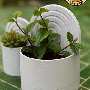 May include: Two white ceramic wall planters with a textured finish. The planters are shaped like half circles and have a raised rim. One planter has a succulent plant and the other has a leafy green plant. The planters are on a green tiled surface.