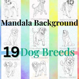 Może przedstawiać: Kolorowy obraz przedstawiający 19 ras ps&oacute;w, każda zilustrowana w czerni i bieli. Wyświetlony jest tekst "Mandala Background" i "Dog Breeds". Obraz ma tęczowe tło.