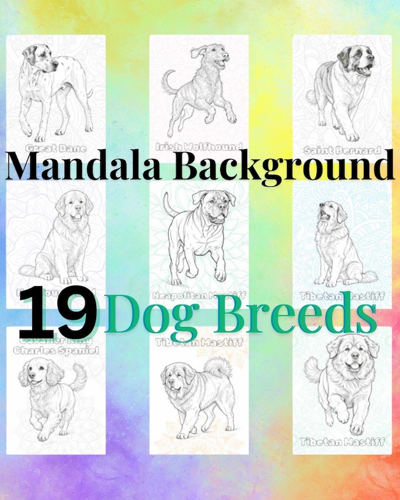 Może przedstawiać: Kolorowy obraz przedstawiający 19 ras ps&oacute;w, każda zilustrowana w czerni i bieli. Wyświetlony jest tekst "Mandala Background" i "Dog Breeds". Obraz ma tęczowe tło.