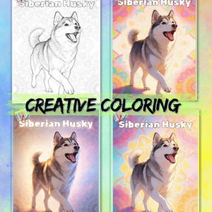 Może przedstawiać: Cztery kolorowanki z psem rasy Siberian Husky. Jedna to czarno-biały rysunek liniowy, a pozostałe to kolorowe ilustracje. Na okładkach widnieją napisy "Siberian Husky" i "Creative Coloring".