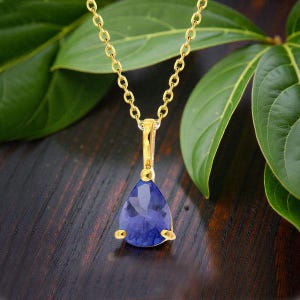 Può includere: Una collana color oro con un pendente a forma di goccia di pietra preziosa blu scuro. Il pendente è tenuto da un'incastonatura dorata e pende da una delicata catena d'oro. Lo sfondo presenta foglie verdi e una superficie di legno scuro.