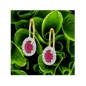 Könnte beinhalten: Ein Paar goldfarbene Ohrhänger. Jeder Ohrring hat einen ovalen, tiefroten Rubin, der von einem Kranz aus kleinen, weißen Diamanten umgeben ist. Die Ohrringe sind vor einem Hintergrund aus üppigem, grünem Laub angeordnet.