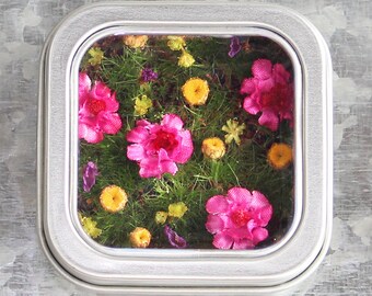 Flower Garden Magnet, Miniature Garden Magnet, Mini Garden, Kitchen Garden, Flower Magnet, Flower Kitchen Decor, Garden Kitchen Décor