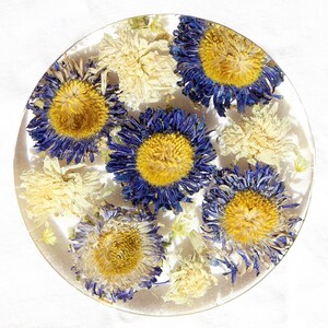 Floral Coaster, Flower Coaster, Bar Decor, Flower Tableware, Nature Coaster, Garden Home Decor, Coaster Set
