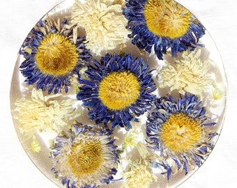 Floral Coaster, Flower Coaster, Bar Decor, Flower Tableware, Nature Coaster, Garden Home Decor, Coaster Set
