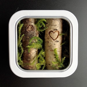 Nature Art, Birch Tree, Gift for Her, Miniature Forest, Gift for Nature-Lover, Love Keepsake, Anniversary Present