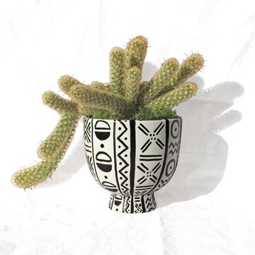 Black and White Terracotta African Print Plant Pot