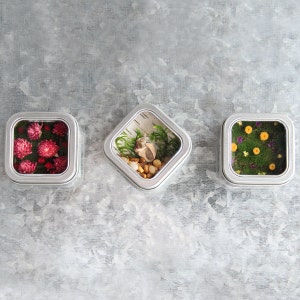 May include: Three small, square, silver tins with glass lids. The top tin contains pink and red flowers, the middle tin contains a seashell and small stones, and the bottom tin contains yellow flowers.