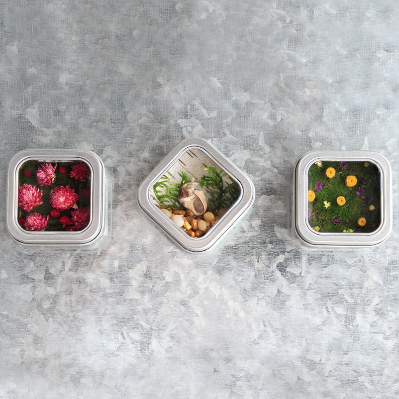 May include: Three small, square, silver tins with glass lids. The top tin contains pink and red flowers, the middle tin contains a seashell and small stones, and the bottom tin contains yellow flowers.