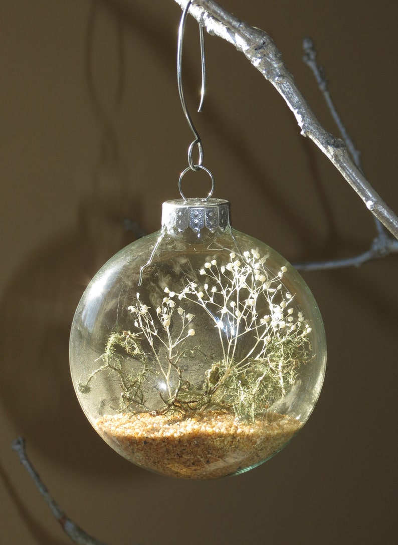 Living Ornament Unique Ornament with Moss and Lichen Garden Etsy