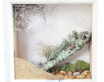 Gift for Home, Terrarium Wall Hanging, Terrarium Decor, Nature Decor, Natural Home Decor, Air Plant Planter, Wall Terrarium