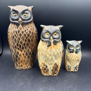May include: Three ceramic owl figurines in varying sizes. The largest owl is brown with black accents, the middle owl is beige and brown, and the smallest is a muted green and brown. All have large, expressive eyes.