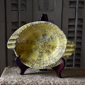 May include: A yellow and black ceramic serving dish with a unique design, displayed on a dark wooden stand. The dish has a circular shape with a textured surface and a central pattern. The background features a vintage wooden shutter.