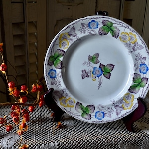 Puede incluir: Un plato de cerámica blanca con un diseño floral morado, verde y azul. El plato tiene un borde festoneado y está decorado con un patrón repetitivo de flores y hojas.